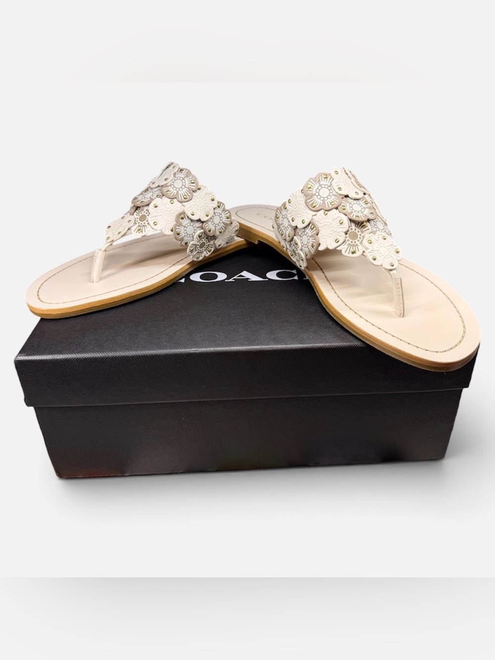 NIB Coach Lottie Tea Rose Thong Sandals in Chalk - Style No. G3681 Size 9.5 B
